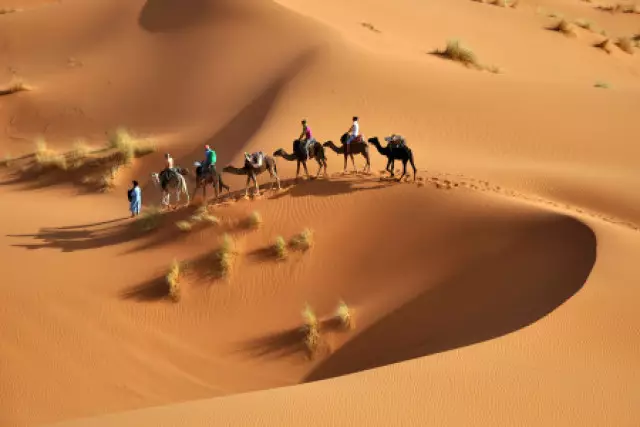 Алланы жырға қосқан ақындар – 2