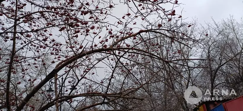 Гололед и сильный дождь: штормовое предупреждение объявили в ряде регионов Казахстана