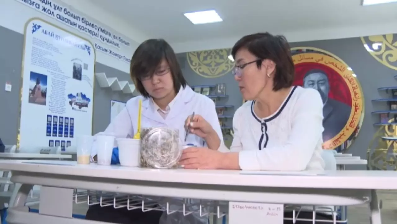 Школьница предложила экономичный способ высадки деревьев