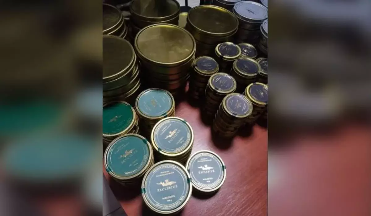 Тонну утиного мяса и 32 кг икры пытались незаконно ввезти в Казахстан из Кыргызстана