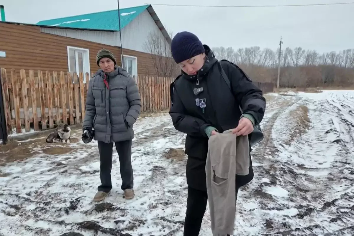 Боятся выходить на улицы: жители СКО жалуются на нападения лис