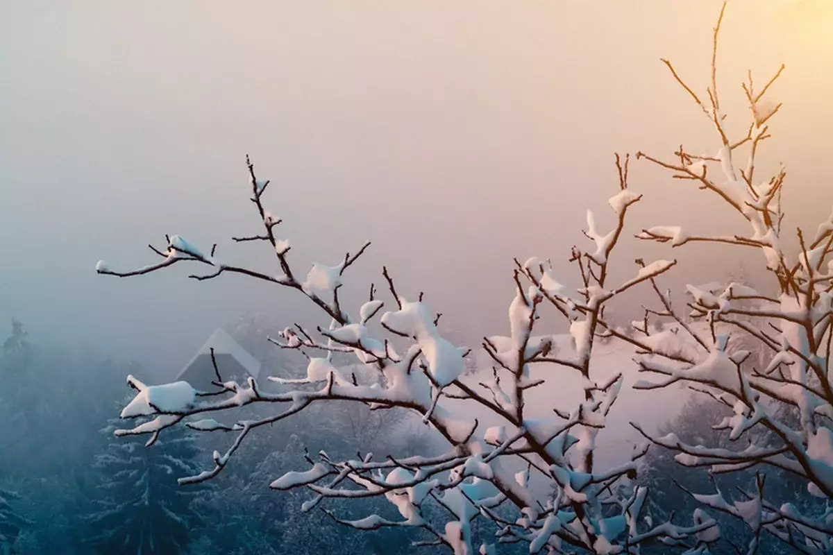 Туман накроет почти весь Казахстан 2 декабря: объявлено штормовое предупреждение