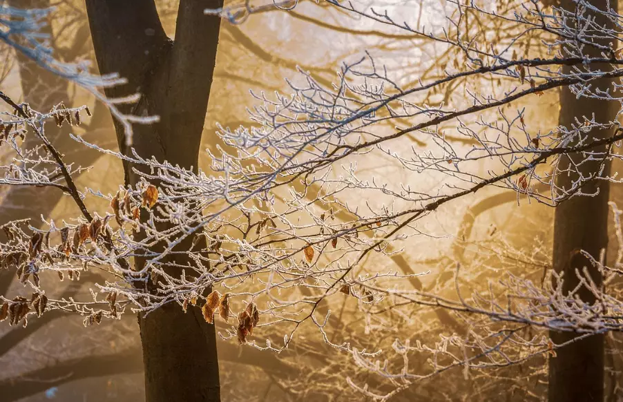 Туманы ожидаются во вторник почти по всему Казахстану
