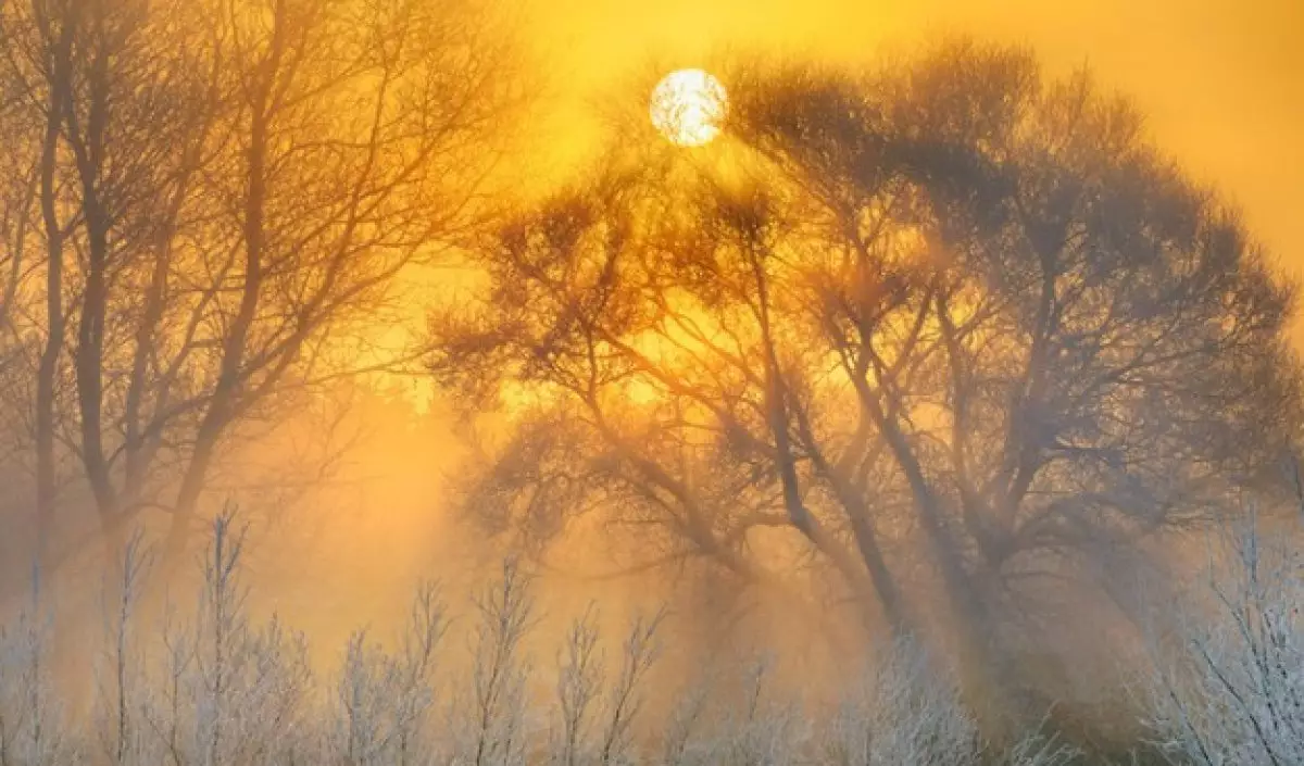 Тұман түсіп, жел соғады - бүгінге ауа райы болжамы
