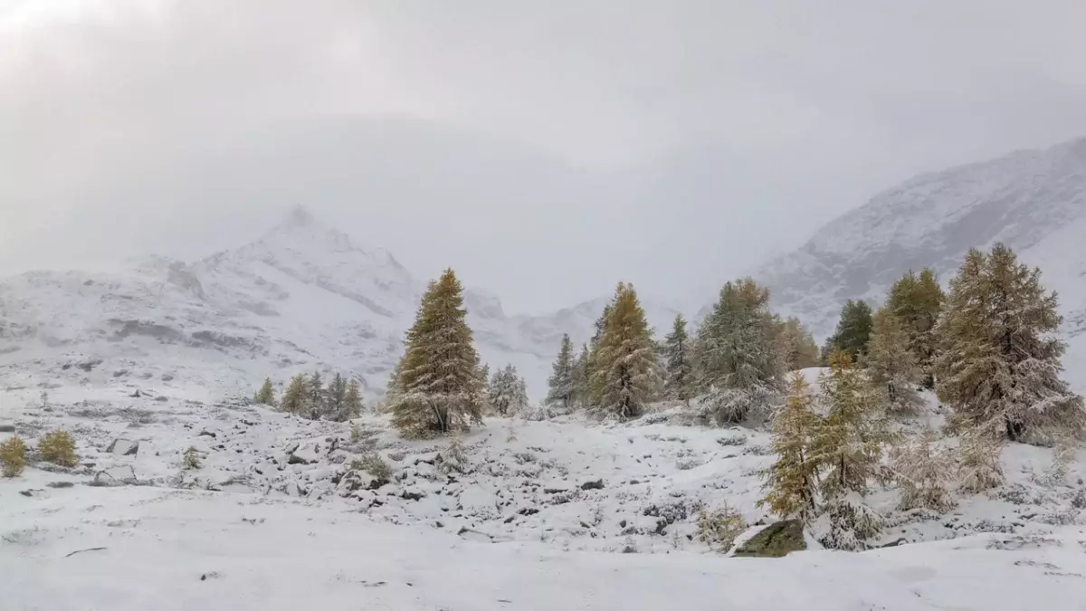 Прогноз погоды по городам Казахстана на 2 декабря