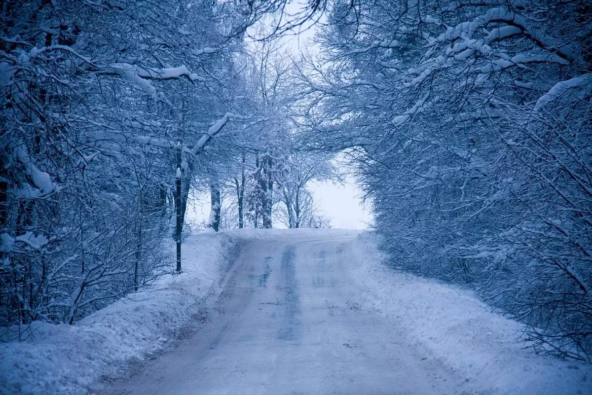 Прогноз погоды на 2 декабря в Казахстане представили синоптики