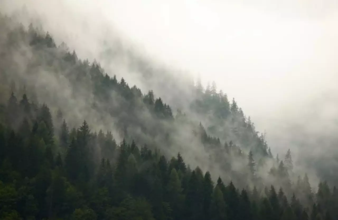 Туман накроет большую часть Казахстана   