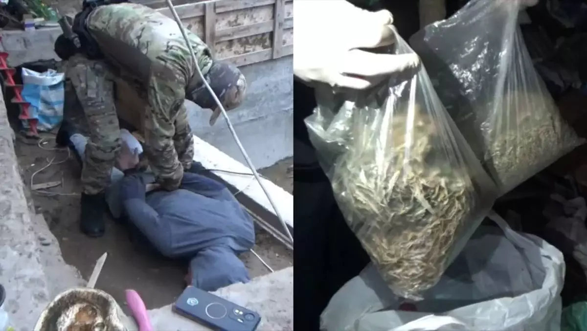 Полицейские конфисковали крупную партию наркотиков в области Абай (видео)