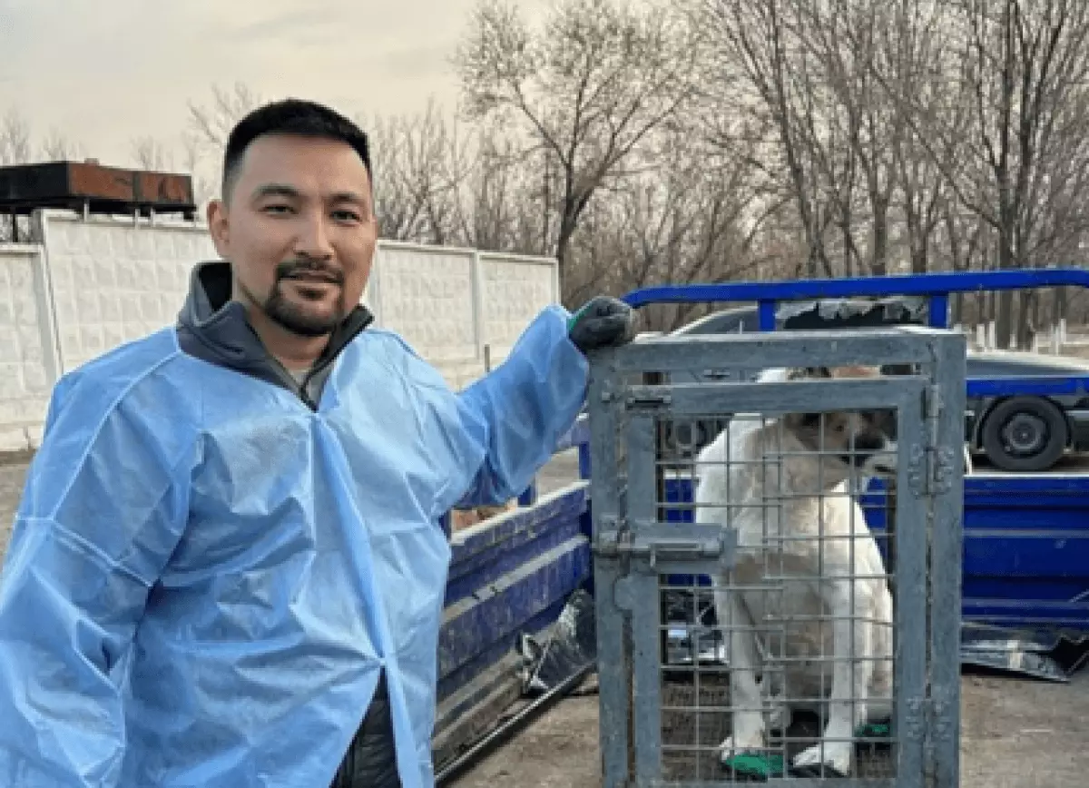Добро, которое не усыпить: алматинец спас от эвтаназии 100 собак