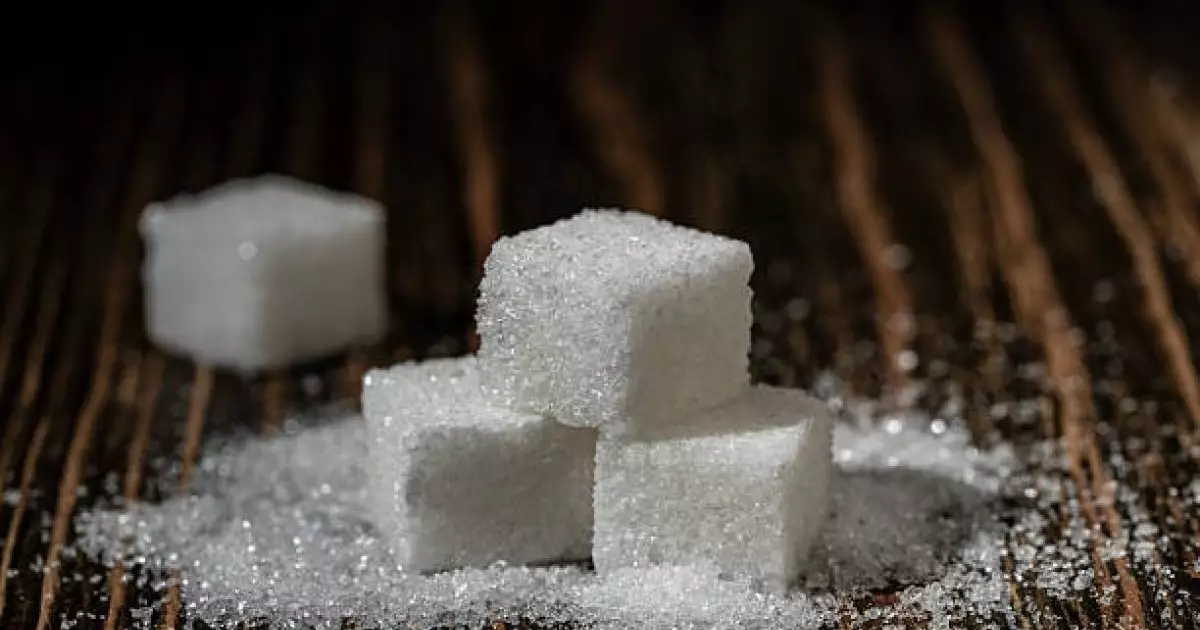  Түркиялық компания Қазақстанда екі қант зауытын салуға 500 млн доллар инвестиция салады 