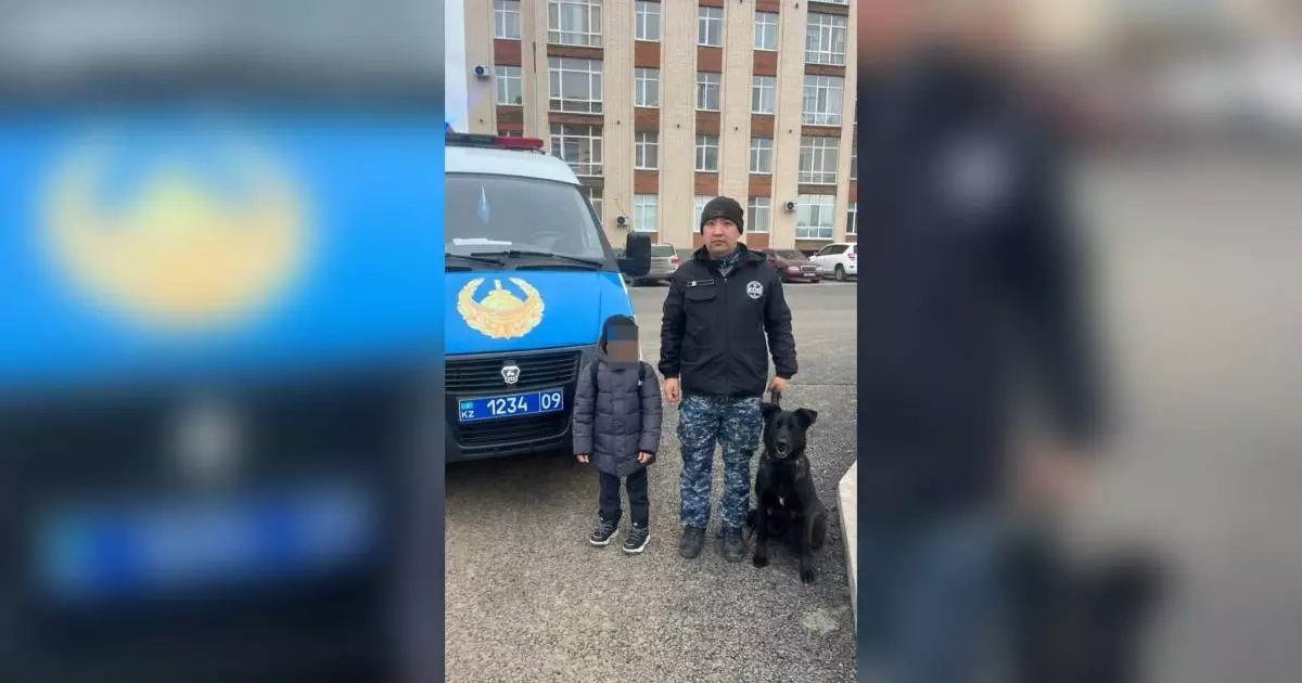  Қарағандыда жоғалып кеткен 4 жастағы бала табылды 