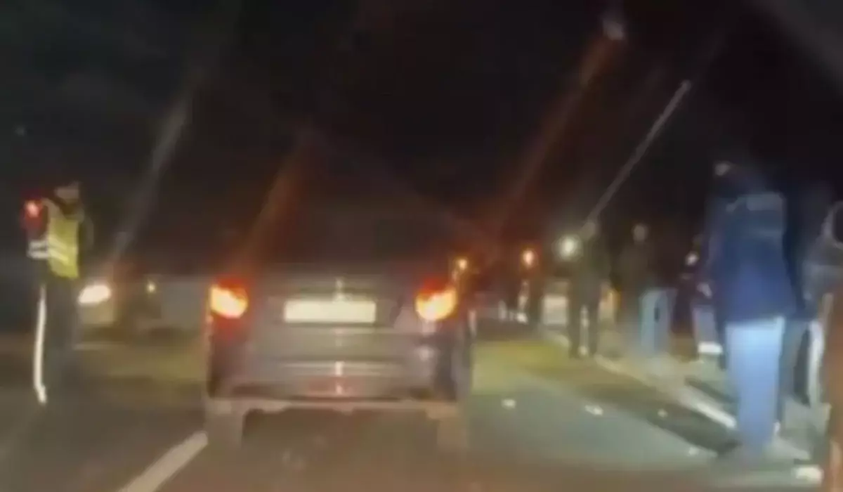 Атырау облысында жеңіл көлік жолға шығып кеткен жылқыға соғылып, екі адам көз жұмды