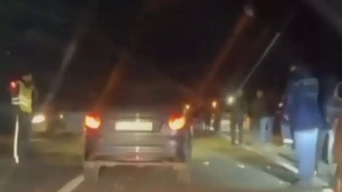 Атырау облысында жеңіл көлік жолға шығып кеткен жылқыға соғылып, екі адам көз жұмды