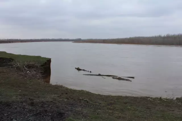 Ақтөбеде өзеннен 16 және 27 жастағы екі адамның денесі табылды