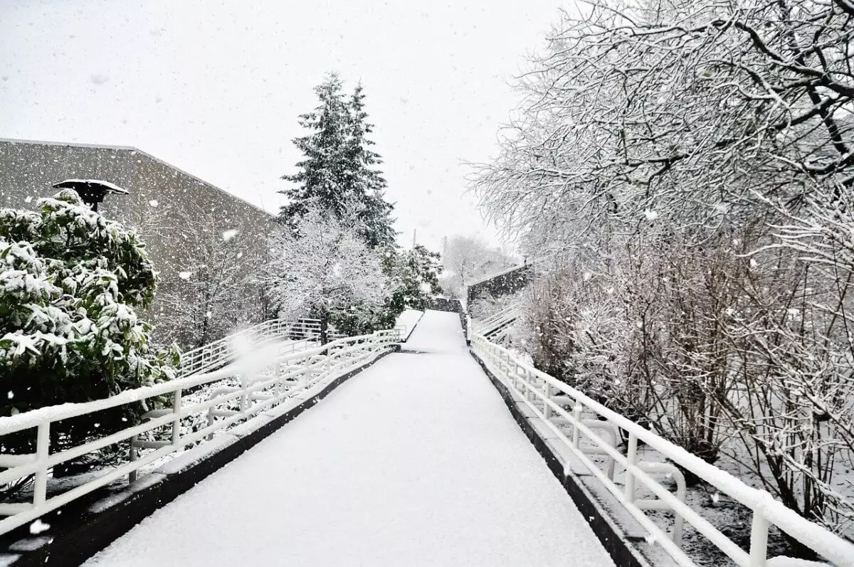 Астану накроет туман и мокрый снег