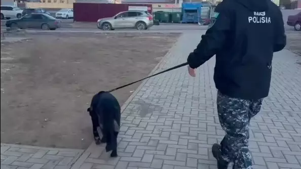 Қызметтік ит жоғалып кеткен 4 жасар баланы көрші ауданнан тапты