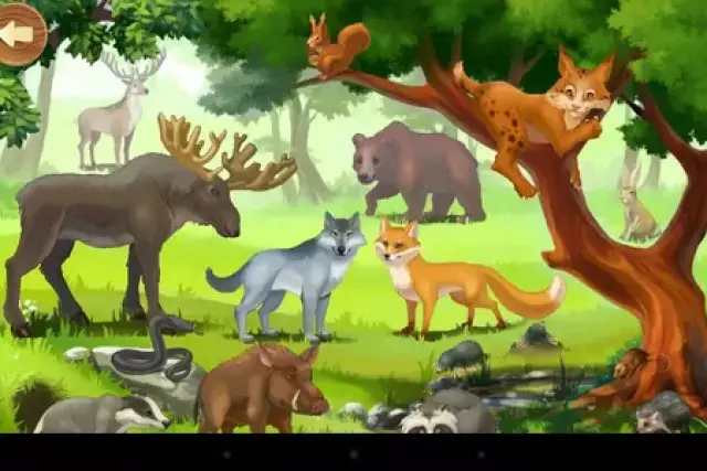 САЙЛАУ (әңгіме)