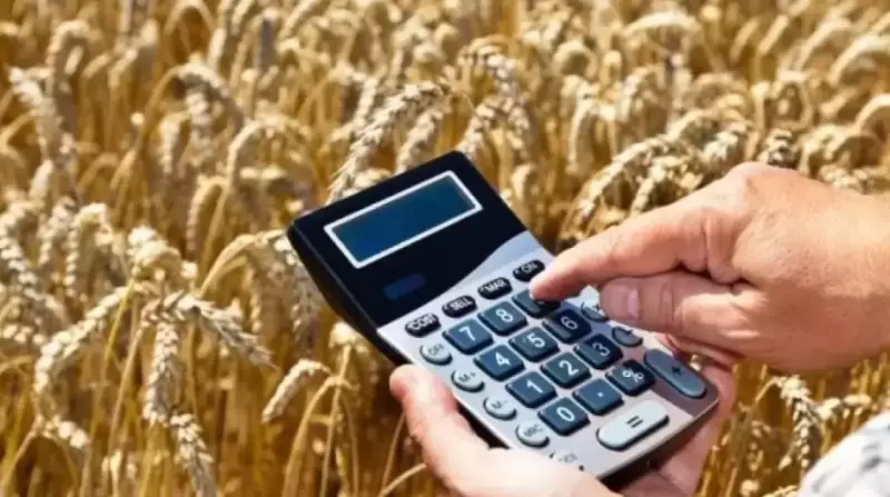 Какой регион Казахстана стал лидером по сбору зерна