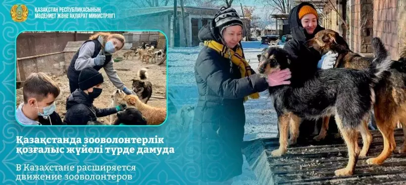 Движение зооволонтеров расширяется в Казахстане