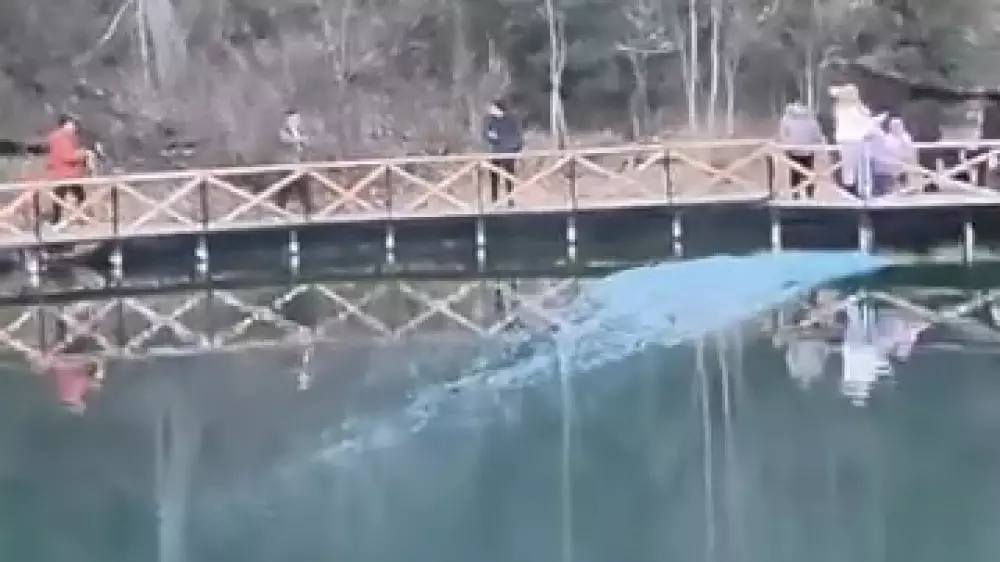 Узнали пол ребенка: казахстанцев наказали за “красочный“ праздник на Кольсае