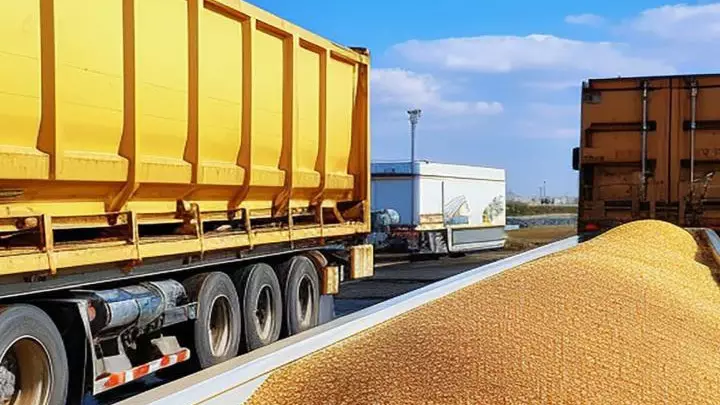 Қазақстандық бидайдың 390 мың тоннасы Алжирге жөнелтілді