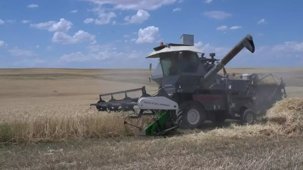 Келер жылы ауыл шаруашылығында қандай жобалар іске асады