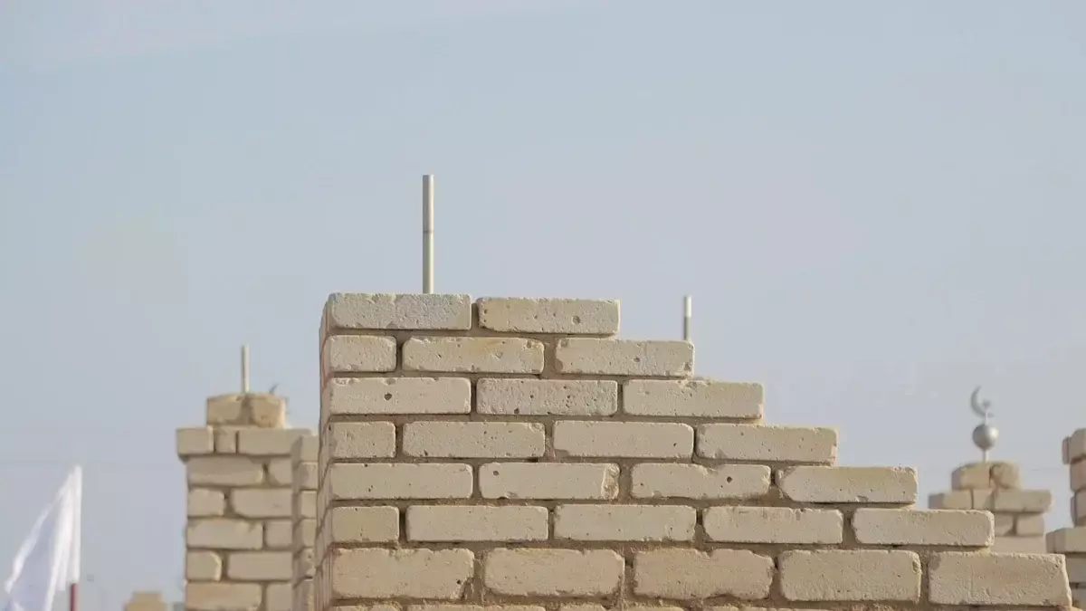 Моланың күміс айшықтарын жұлып тастаған: Атырауда қылмыстық іс қозғалды