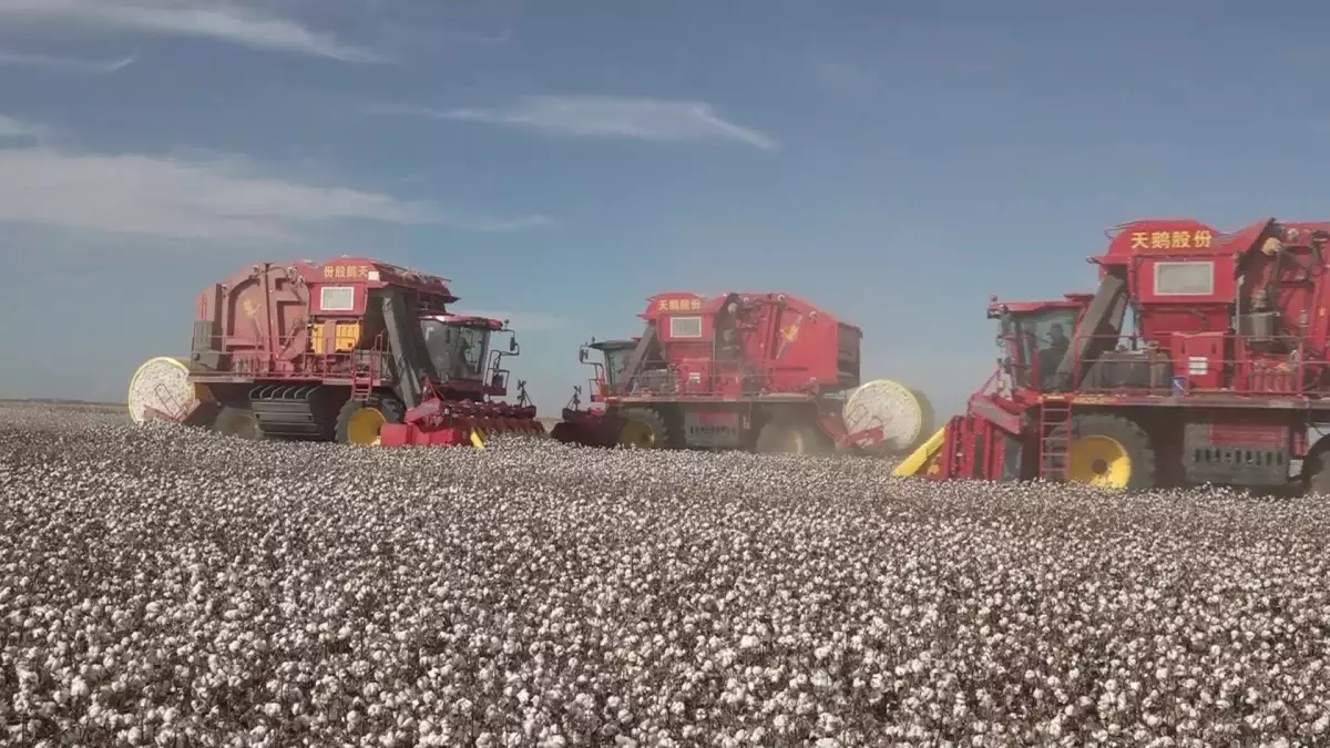 Тоқыма өнеркәсібі: Түркістан облысында ауқымды кластер құрылады