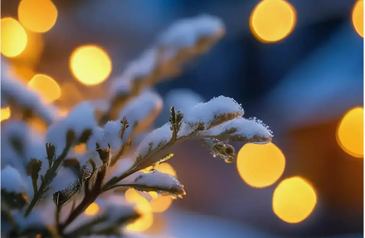 Счастливчики декабря: три знака Зодиака, которых ждет успех и богатство - новости на Lada.kz 02.12.2025