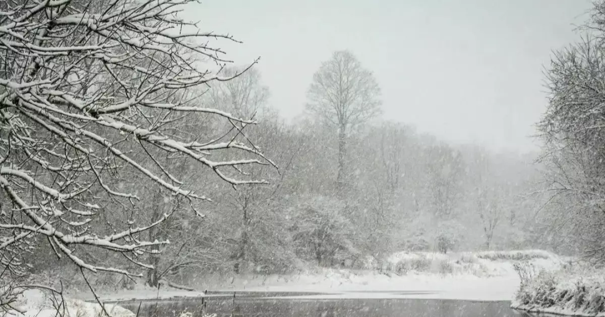  Қазақстанның басым бөлігінде тұман түсіп, көктайғақ болады 