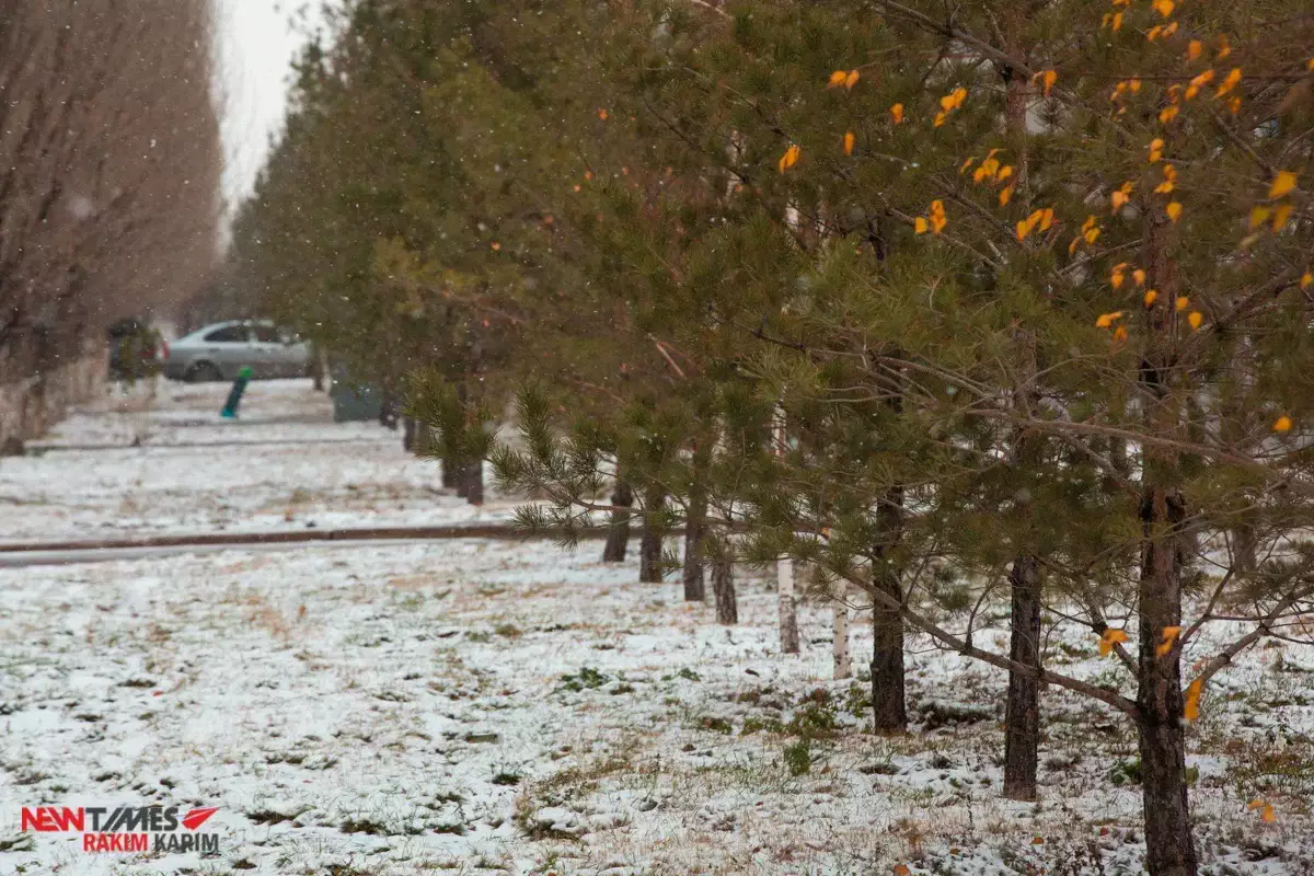 Прогноз погоды в Казахстане на 3 декабря