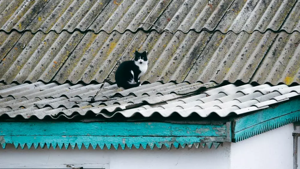 Коянды: большие проблемы маленького пригорода Астаны
