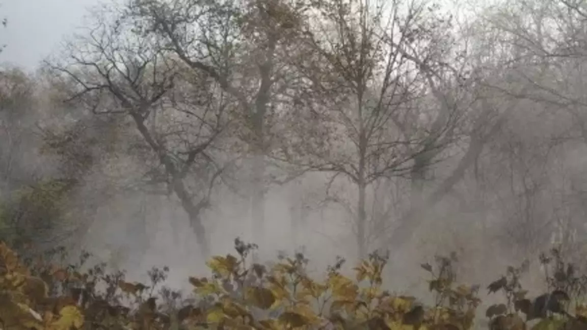 Тұман түсіп, көктайғақ болады: Қазақстанның қай өңірлерінде ауа райы құбылады