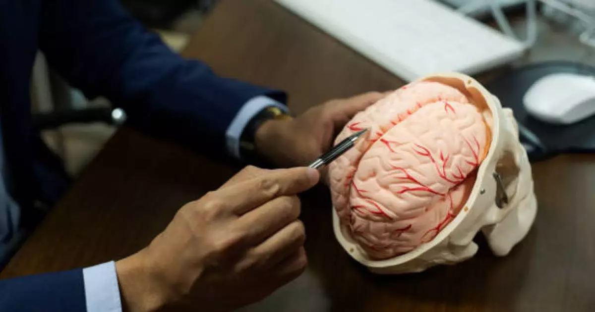  Ғалымдар мидың жұмысына ең қауіпті өнімдерді анықтады 