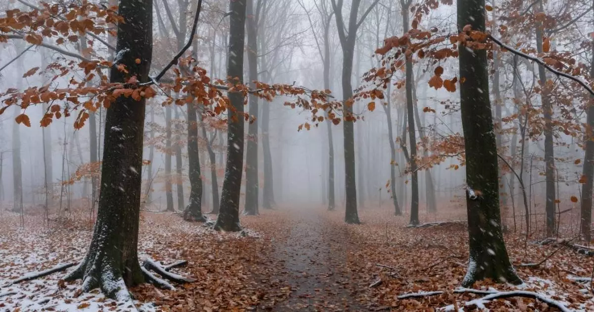  3 желтоқсанға арналған ауа райы болжамы 