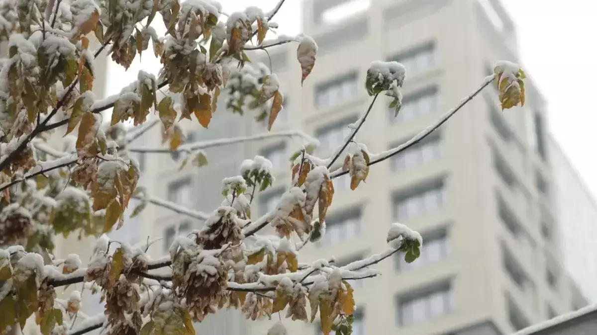 Қазақстанда 3 желтоқсанда ауа райы қандай болады