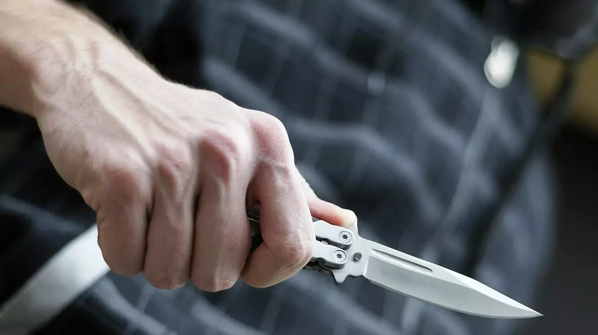 В Госдуму РФ внесли проект о запрете мигрантам носить кухонные ножи