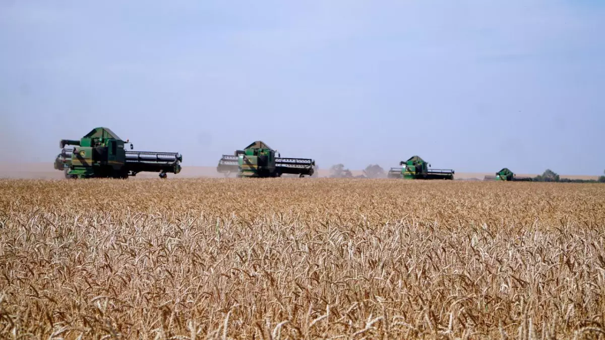 Ақмола облысы астық жинау көлемі бойынша елімізде көш бастады