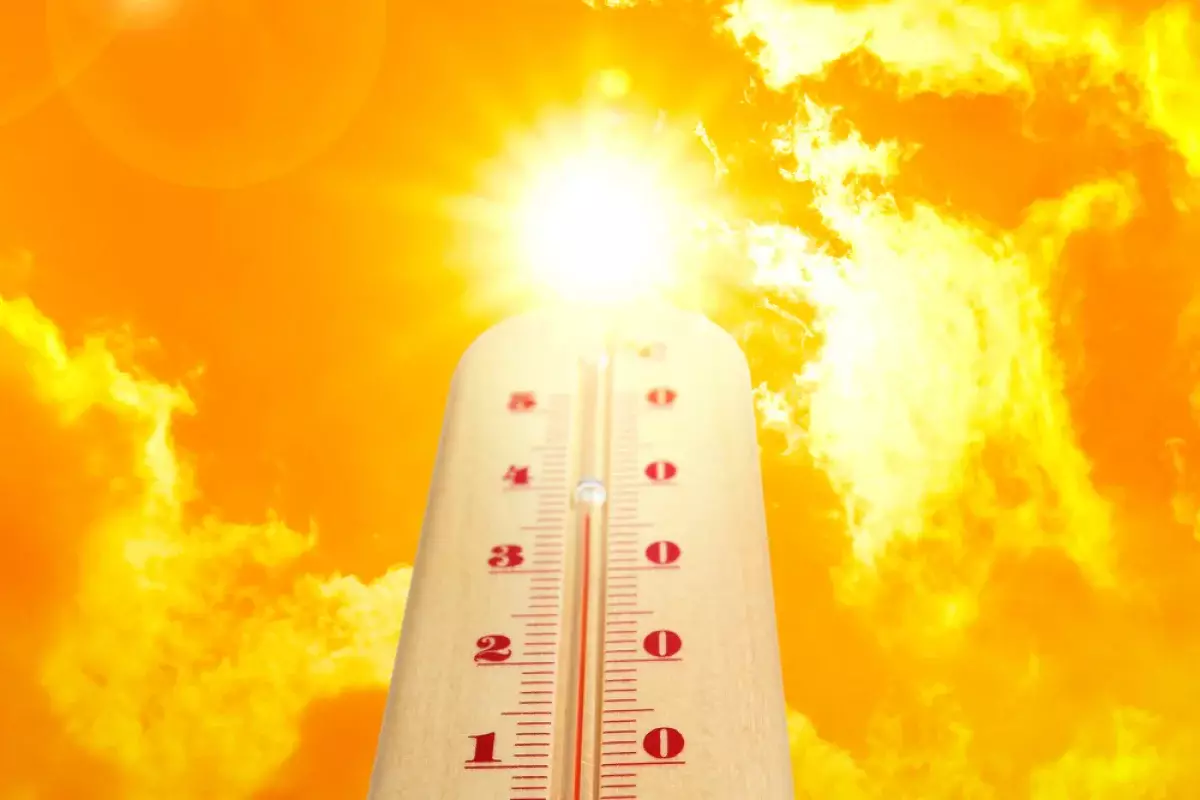 Ученые раскрыли новое последствие глобального потепления