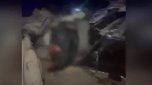 Жол апатынан 7 спортшы қаза тапты: оқиғаның мән-жайы айтылды 