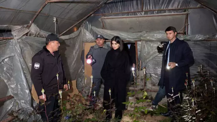 Саида Мирзиёева: экологический ущерб нельзя оправдывать прибылью