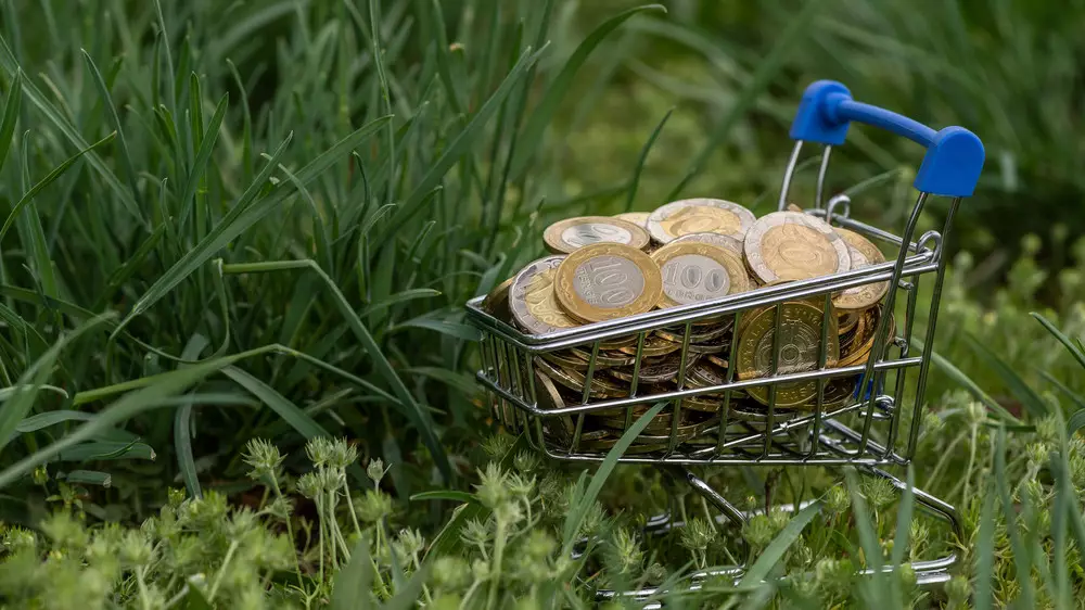 Триллион тенге в бюджет: Алматинская область поставила рекорд