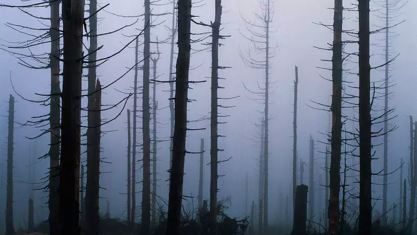 Қышқыл жаңбыр дегенді естіп көрдіңіз бе?