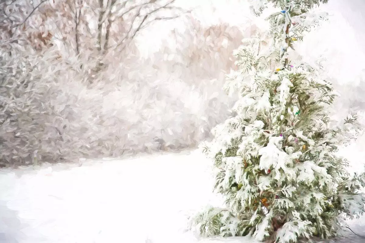 Метель и осадки ожидаются в ближайшие дни в Казахстане