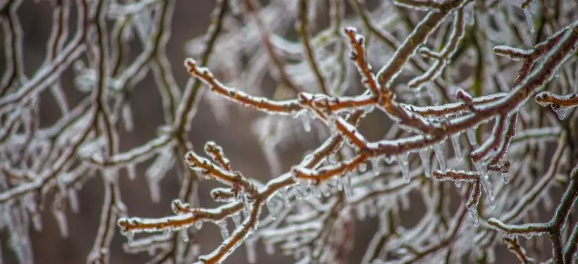 Неустойчивый характер погоды по Казахстану обещают синоптики в ближайшие дни