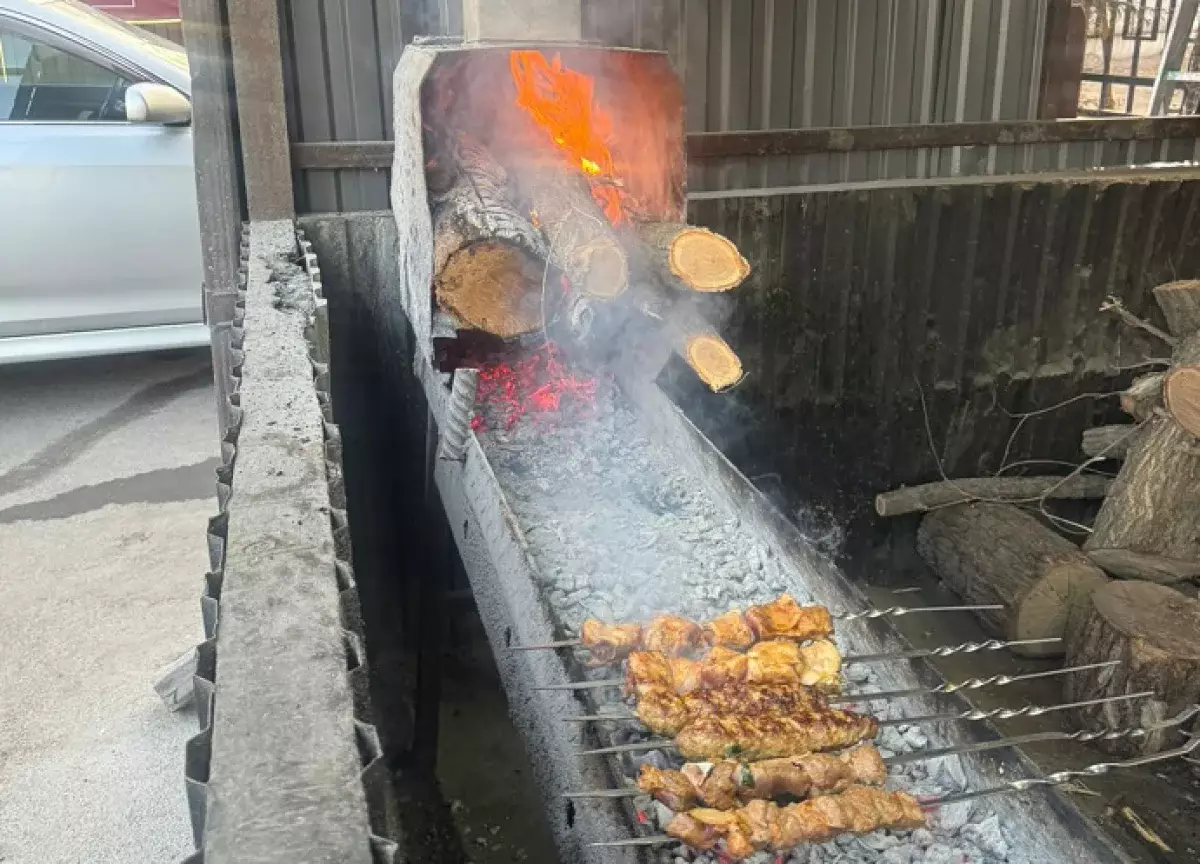 В Жетысуском районе Алматы пресекли незаконную работу «коптящихся» шашлычных