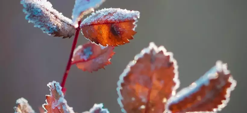 О непогоде предупредили жителей некоторых регионов Казахстана