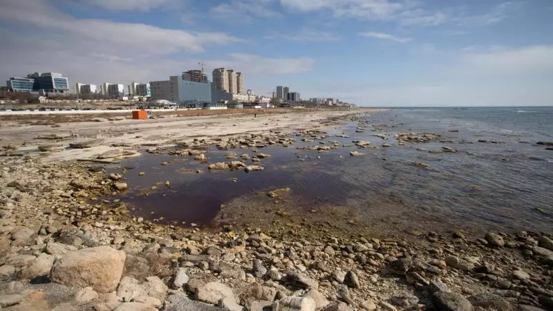 Ученые выяснили, как остановить обмеление Каспия