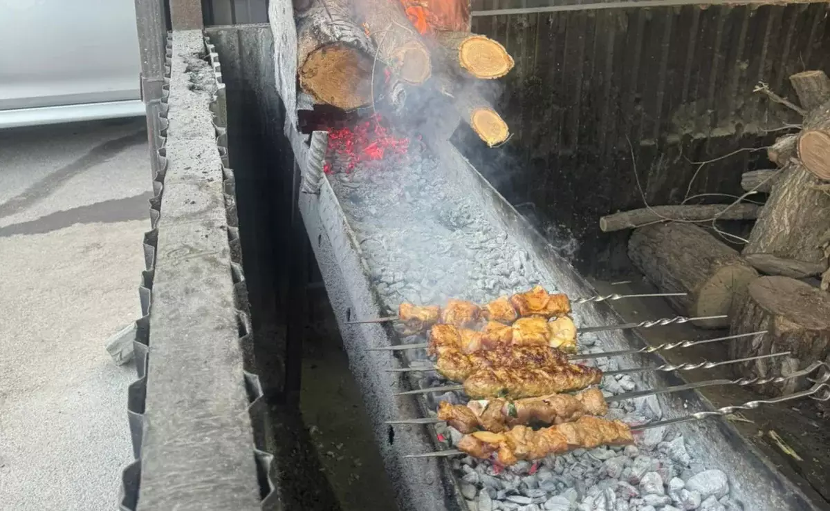 Алматыда қатты отын қолданатын кәуапханаларға бақылау күшейтілді