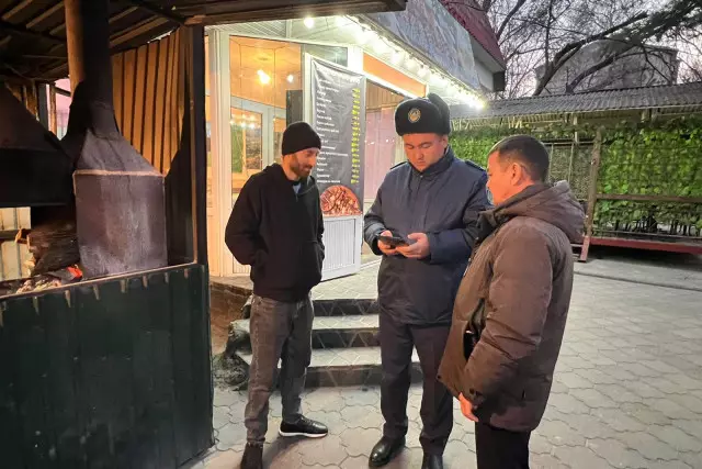 Алматыда қатты отын қолданатын кәуапханаларға бақылау күшейтілді